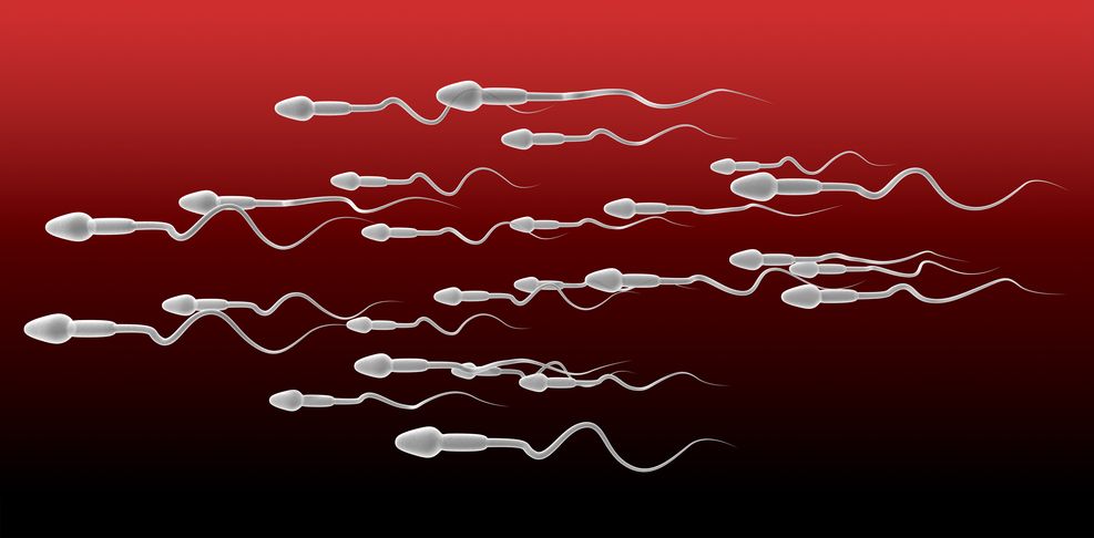 A breakthrough experiment could possibly allow men to have babies together. 