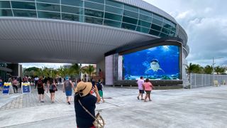 SNA Displays LED screen stops visitors in their tracks with a 3D shark coming right at them.