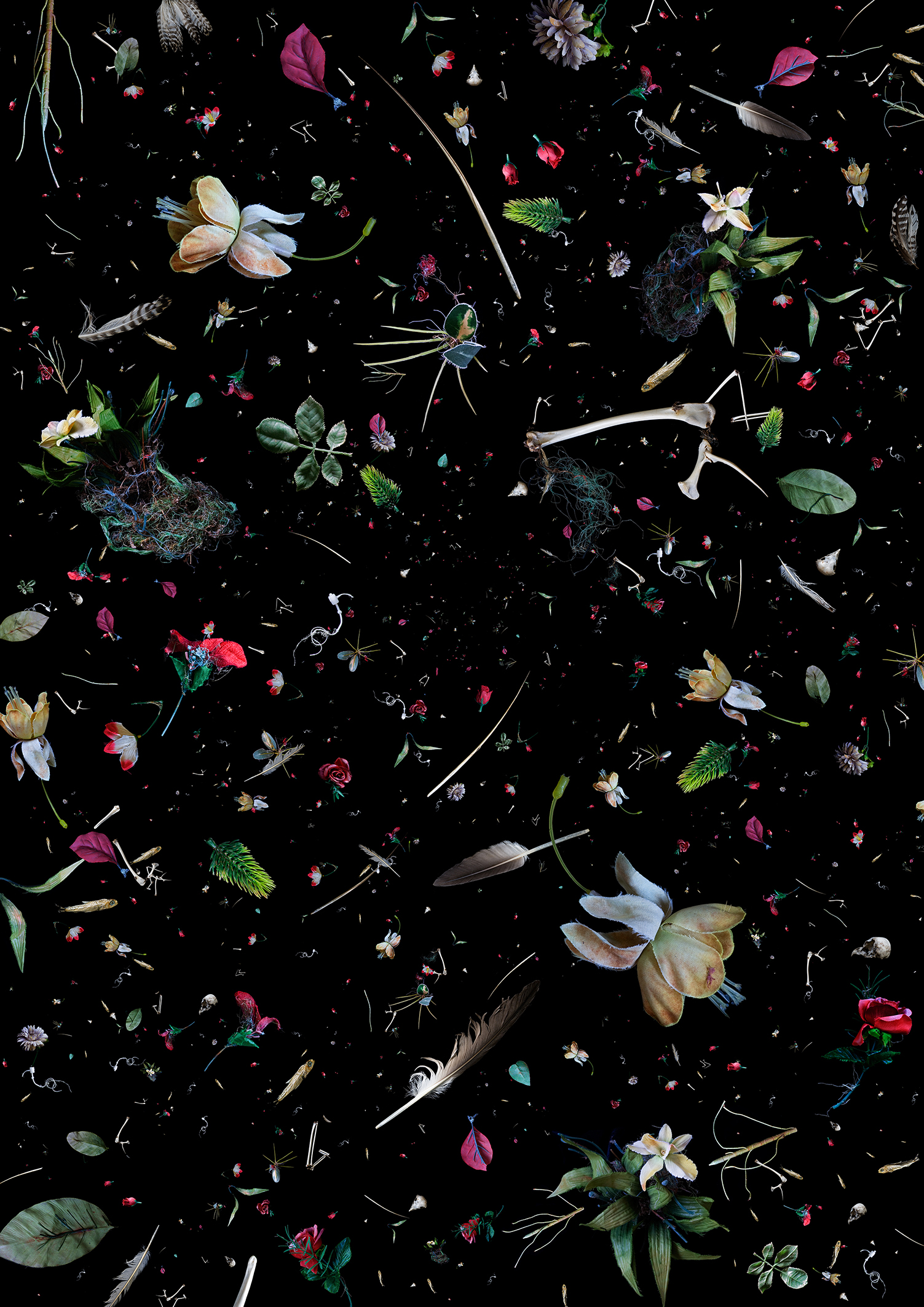 Plastic oceanic debris appears colorfully in sharp contrast against the pitch black of the ocean, items include a toothpaste tube and other recognizable waste