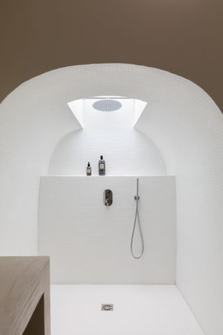 curved ceiling shower with skylight and white tiling