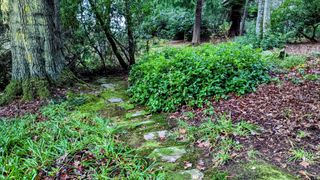 Balmerino to Birkhill Castle: trail