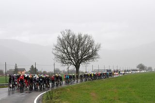 The peloton riding stage three of Tirreno-Adriatico 2025