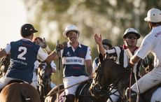 polo in the park