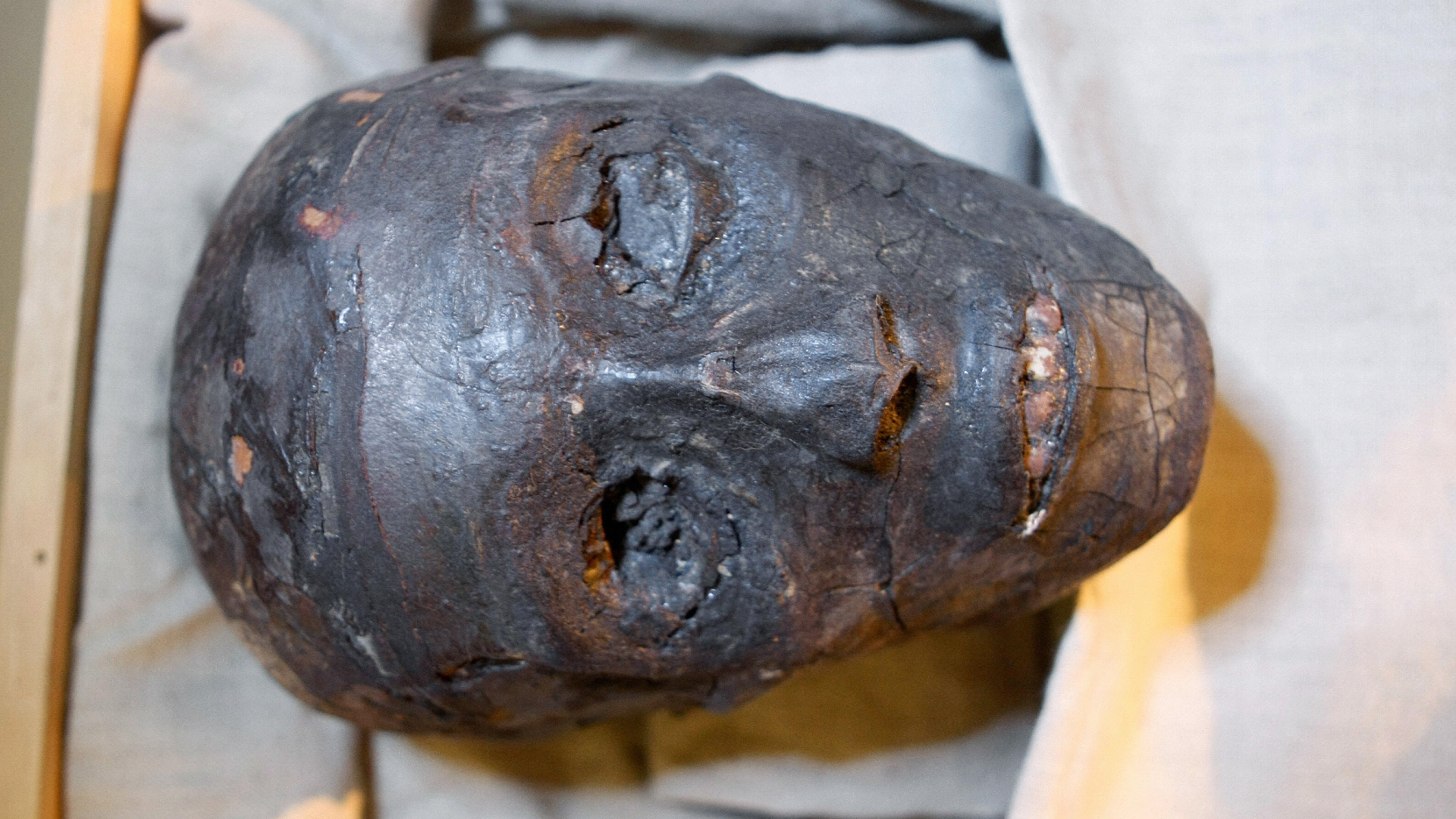 A view of King Tut's mummified head