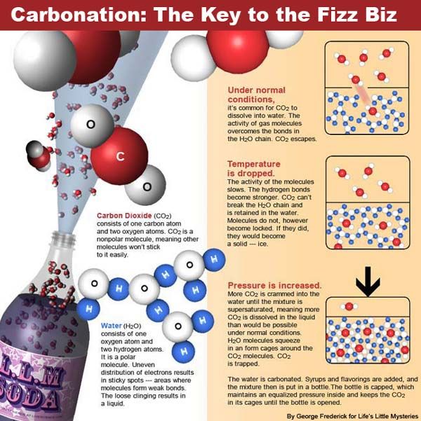 Why Does Soda Fizz? | Live Science