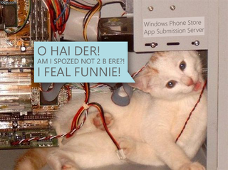 Funny Cat MS Server