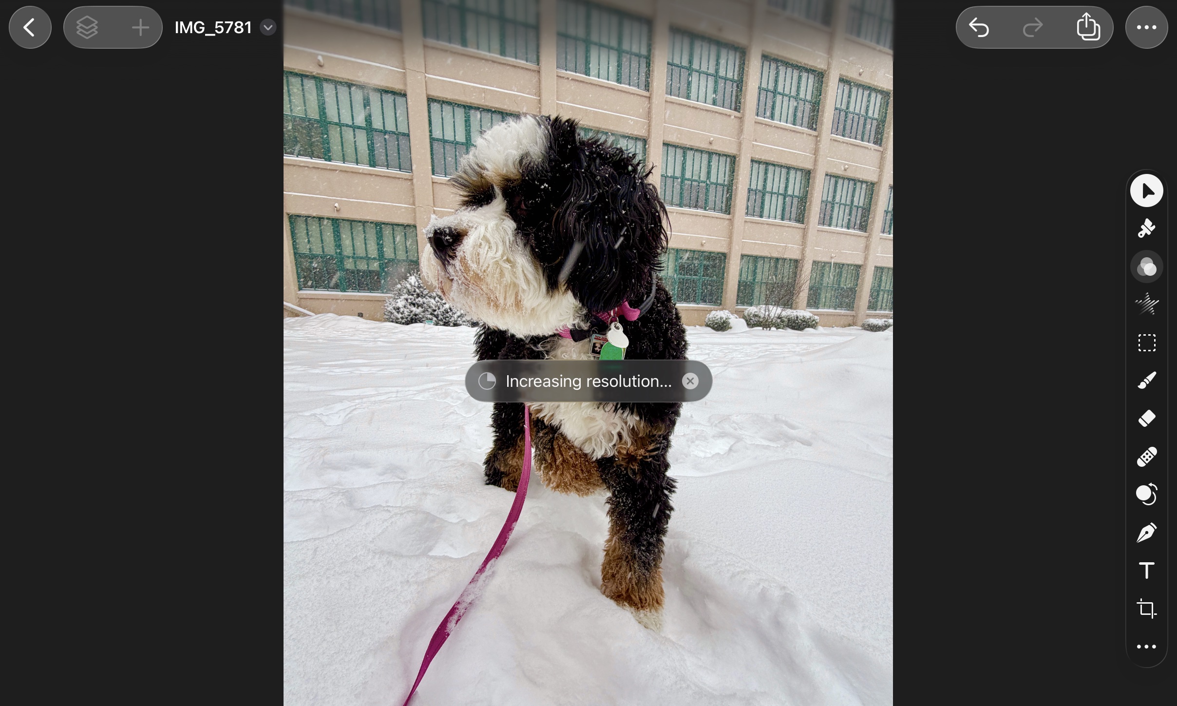 Pixelmator Pro on iPad, Apple Creator Studio