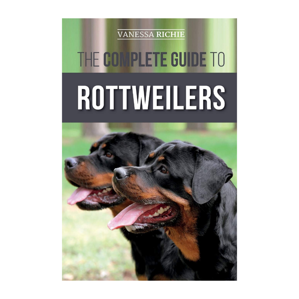 Cane corso vs Rottweiler: Vet's breed comparison | PetsRadar, image size:1000x1000