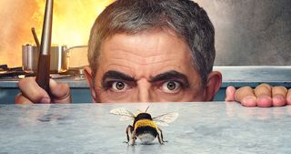 Man vs Bee