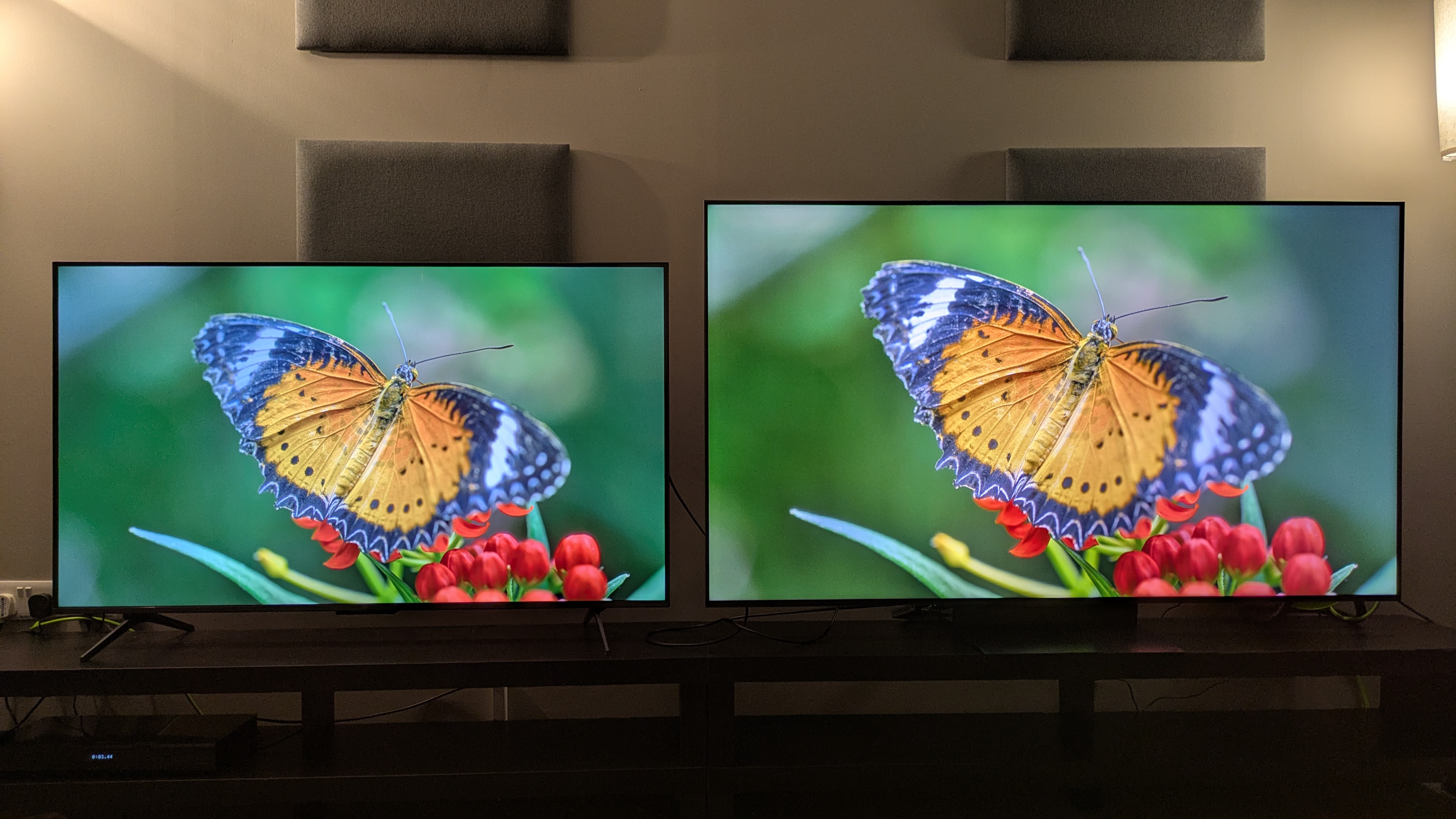 TCL C6K (left) and TCL C7K (right) showing butterfly on screen
