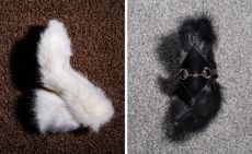 Furry footwear from MSGM and Gucci