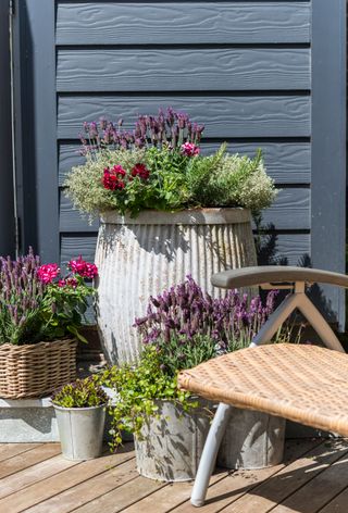 Garden designer Nic Howard used his creative skills to turn a compact courtyard into a haven bursting with colour and interest