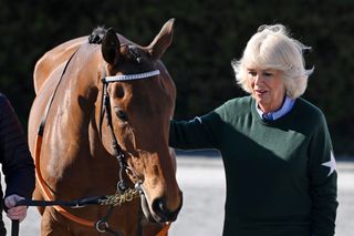 Queen Camilla in a green jumper stroking a horse