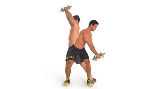 Dumbbell woodchop core exercise