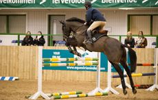 IEF2015-217.jpg