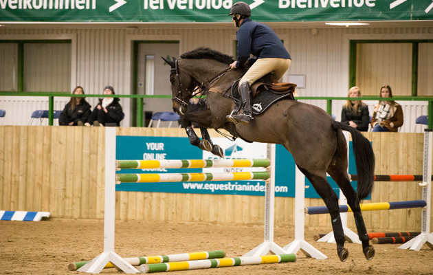IEF2015-217.jpg