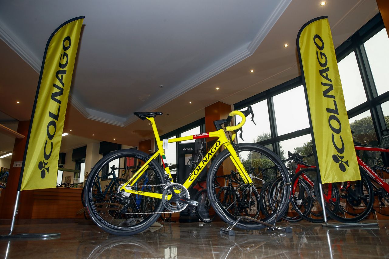 Pogacar Colnago
