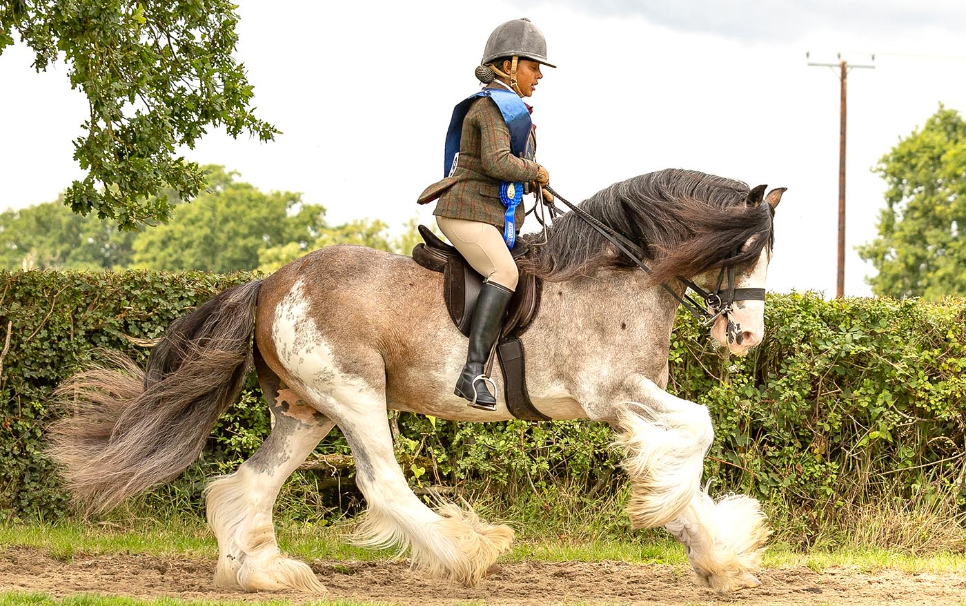 Hannah Miller-Burton and SD Red Gambler are winners in the Alan Marnie &amp;amp; Family Skewbald &amp;amp; Piebald Native/Traditional Small Ridden Pony Championship at the 2025 Royal International