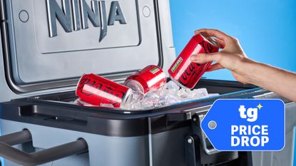 Ninja FrostVault Cooler