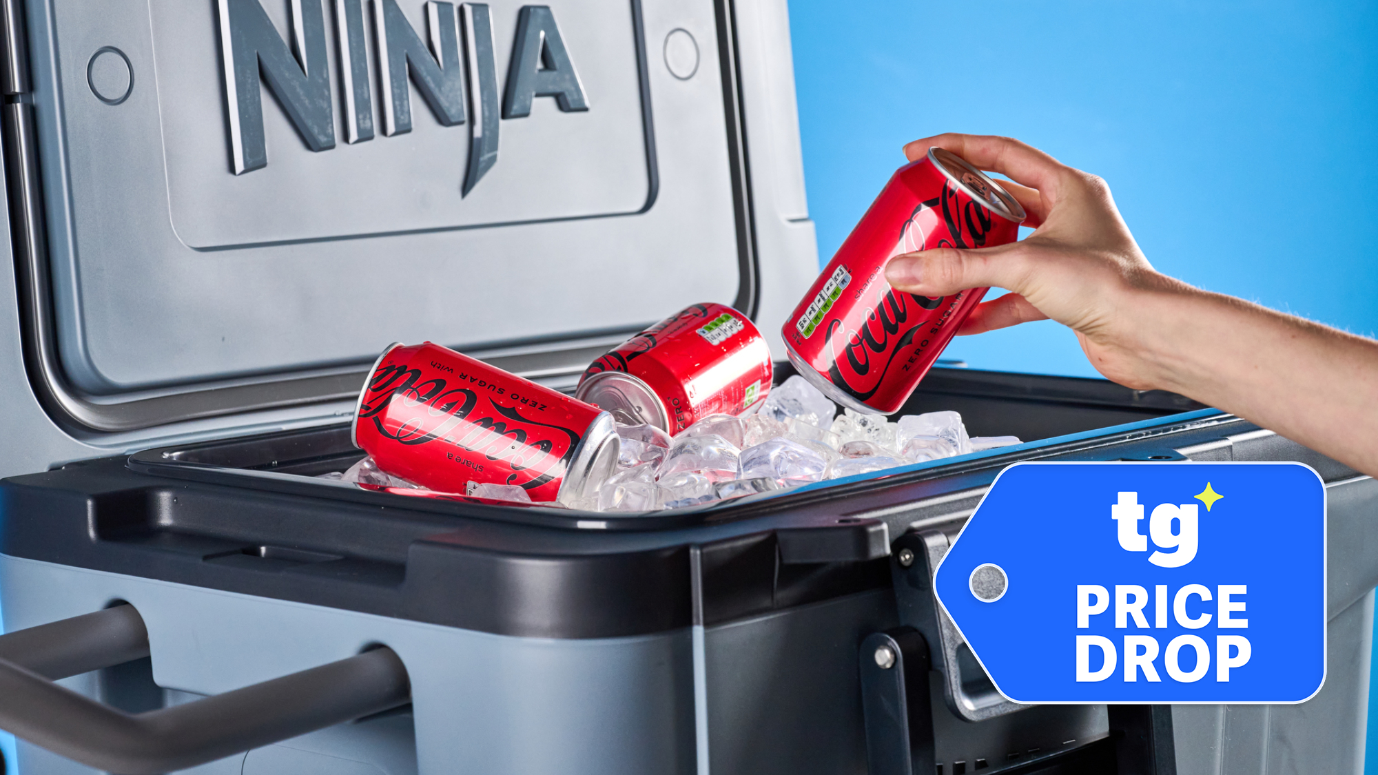 Ninja FrostVault Cooler