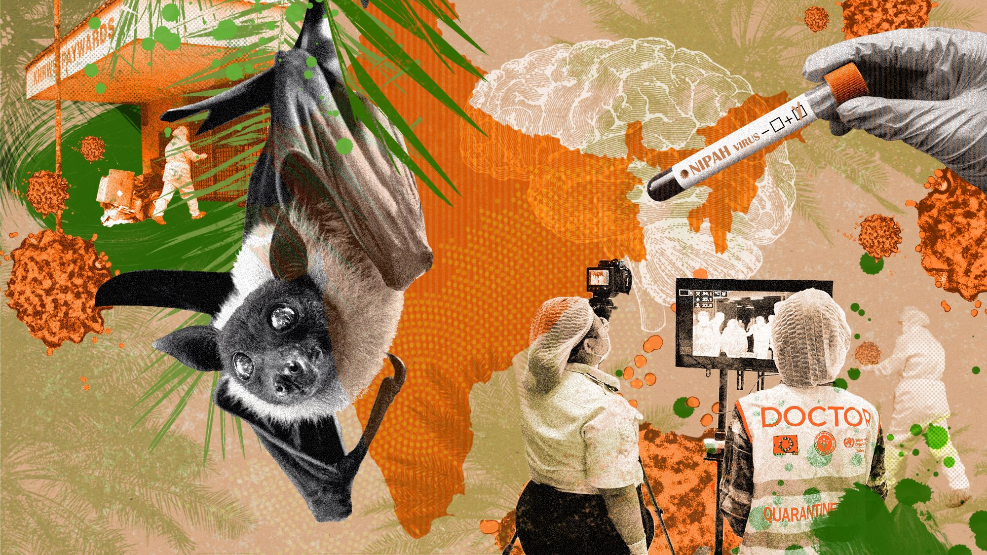 A Nipah virus outbreak in India has brought back Covid-era surveillance