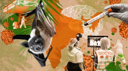 Hanging fruit bat, doctors and a gloved hand holding a vial representing the Nipah virus outbreak in India