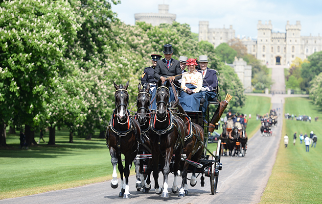 Picture perfect: the coaching marathon takes place up the Long Walk in Windsor Great Park