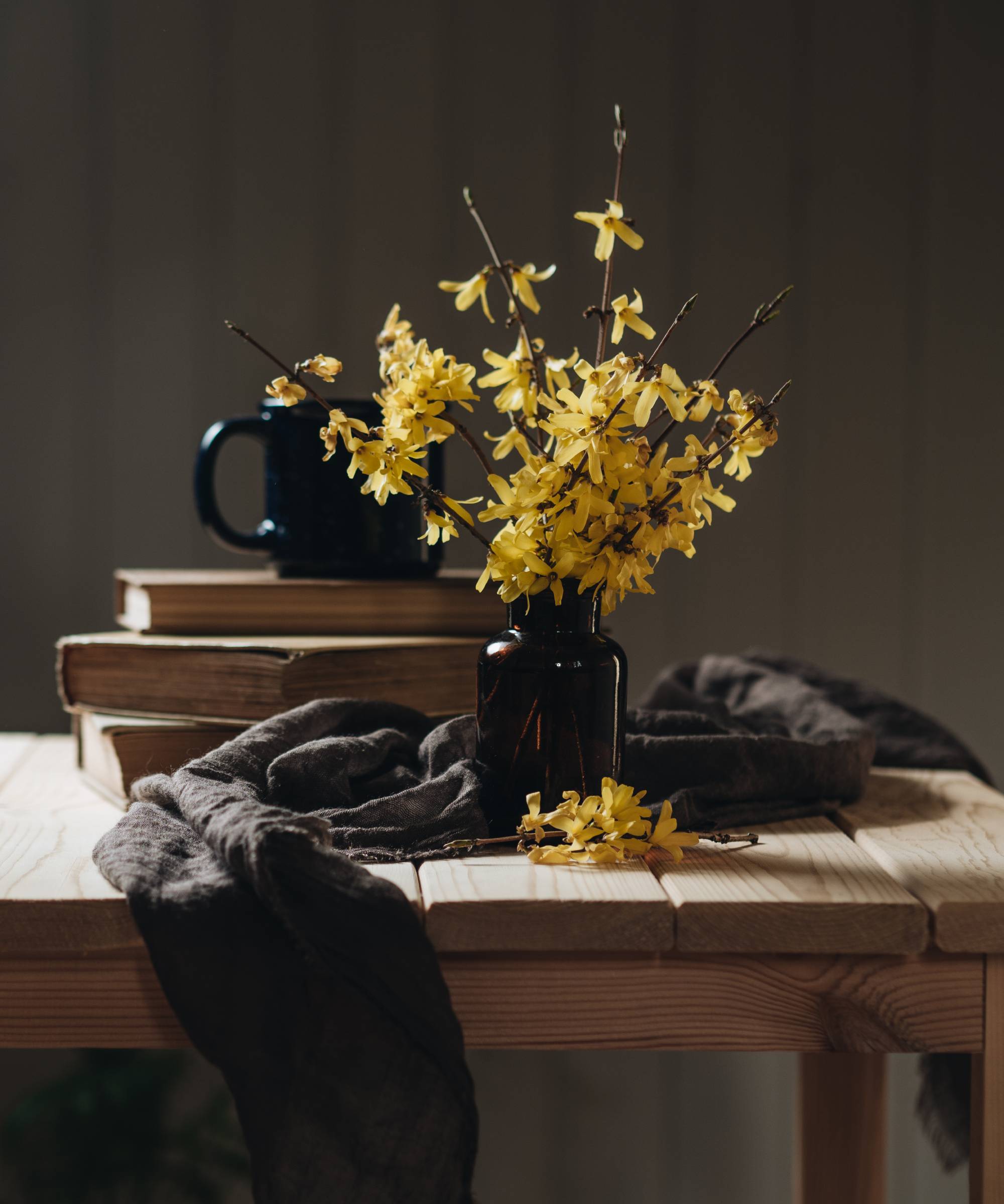 Forcing forsythia branches indoors