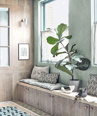 Wooden window seat and wood clad wall, green wall and black, white and green cushions with large potted houseplant