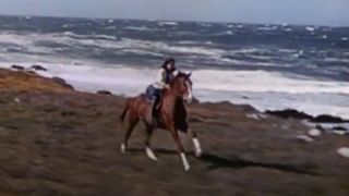 Elizabeth Taylor riding Pie by the seaside in National Velvet