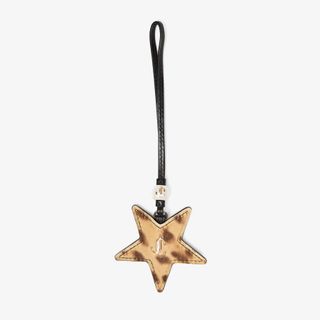 Star Charm