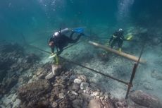 Esmeralda Shipwreck Excavations