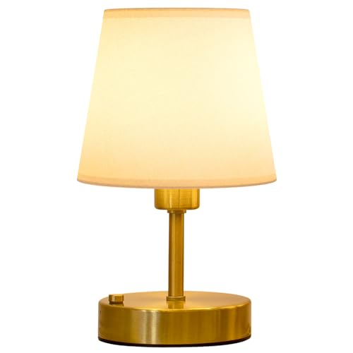 Eppiebasic Rechargeable Cordless Table Lamp, 2700k Dimmable, Small