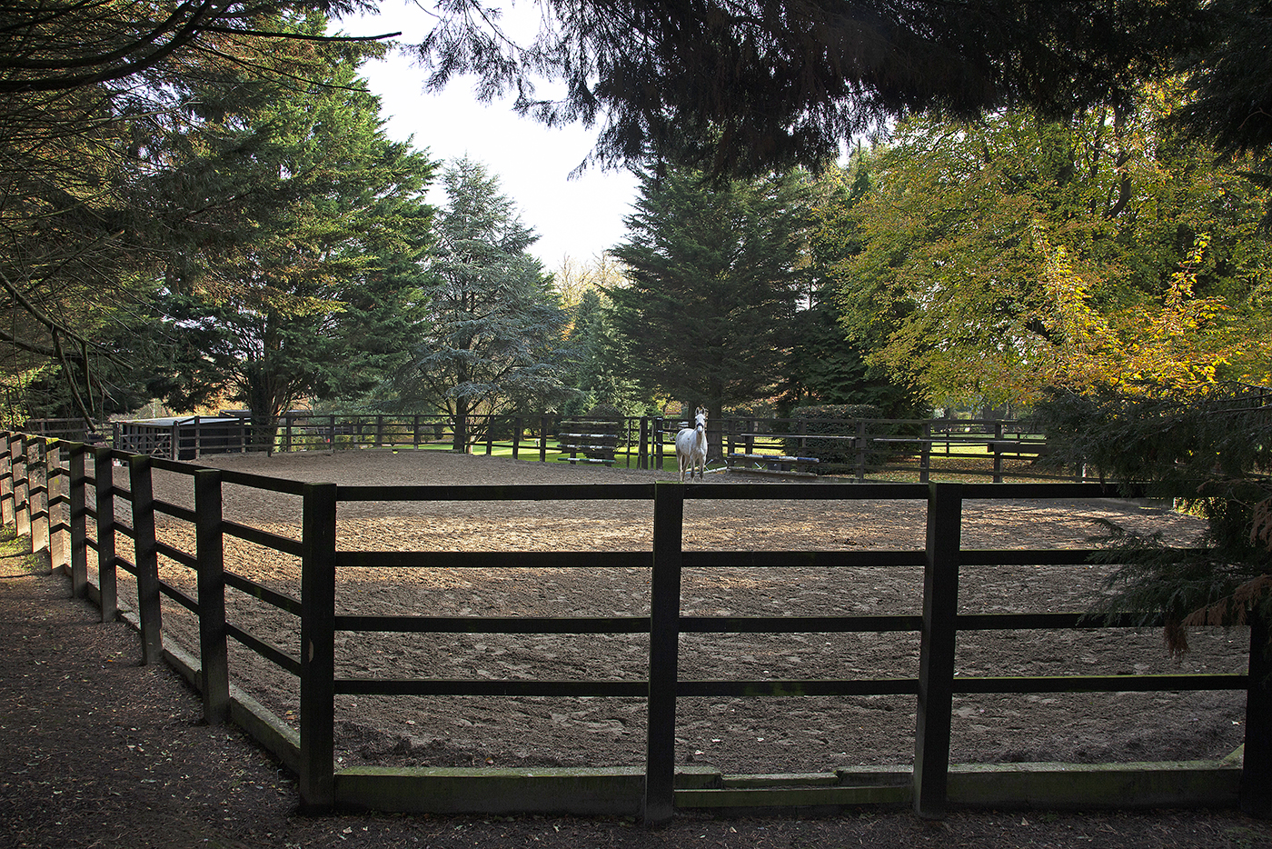 Holmer Ridings, Savills 1
