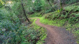 Hiking trail in Rancho San Antonio County Park, Cupertino, California, USA