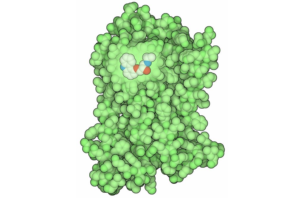 Aspirin to Zoloft How 4 Common Medicines Work Live Science