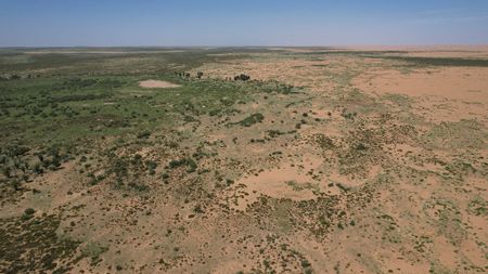 An aerial view of a forest next to a barren landscape
