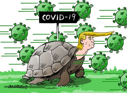Political Cartoon U.S. Trump Coronavirus COVID-19 turtle slow response