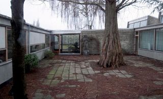 Internal school courtyard with large tree growing in the middle.