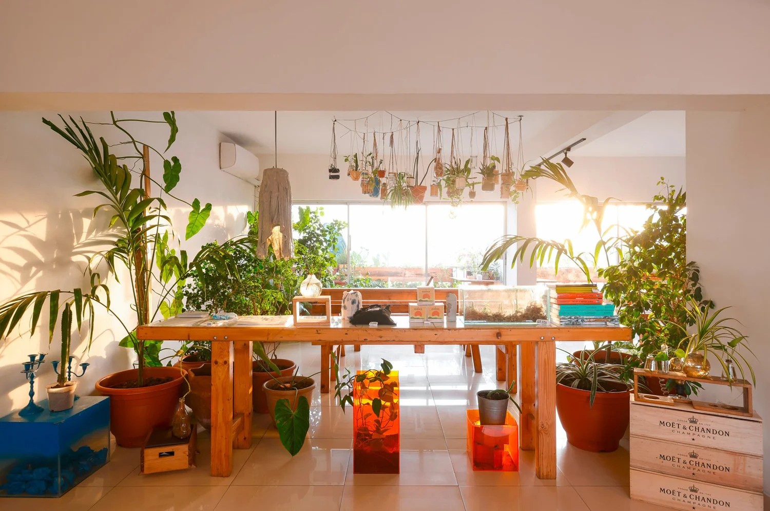 A texturally decorated hotel houses plenty of trailing plants, wooden furniture, and colorful and tactile art installations.