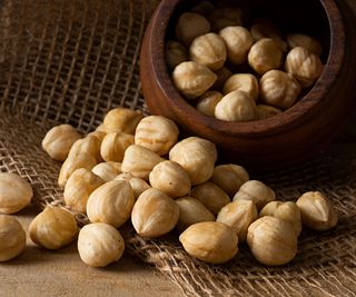 hazelnuts freshly harvested spilling from a bowl