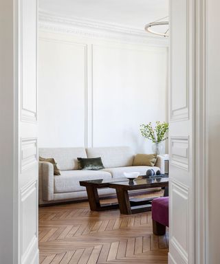 Paris apartment with a minimalist living room scheme