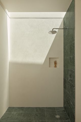 Shower with a green wall