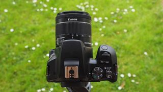 Canon EOS 250D / Rebel SL3 Review - Amateur Photographer