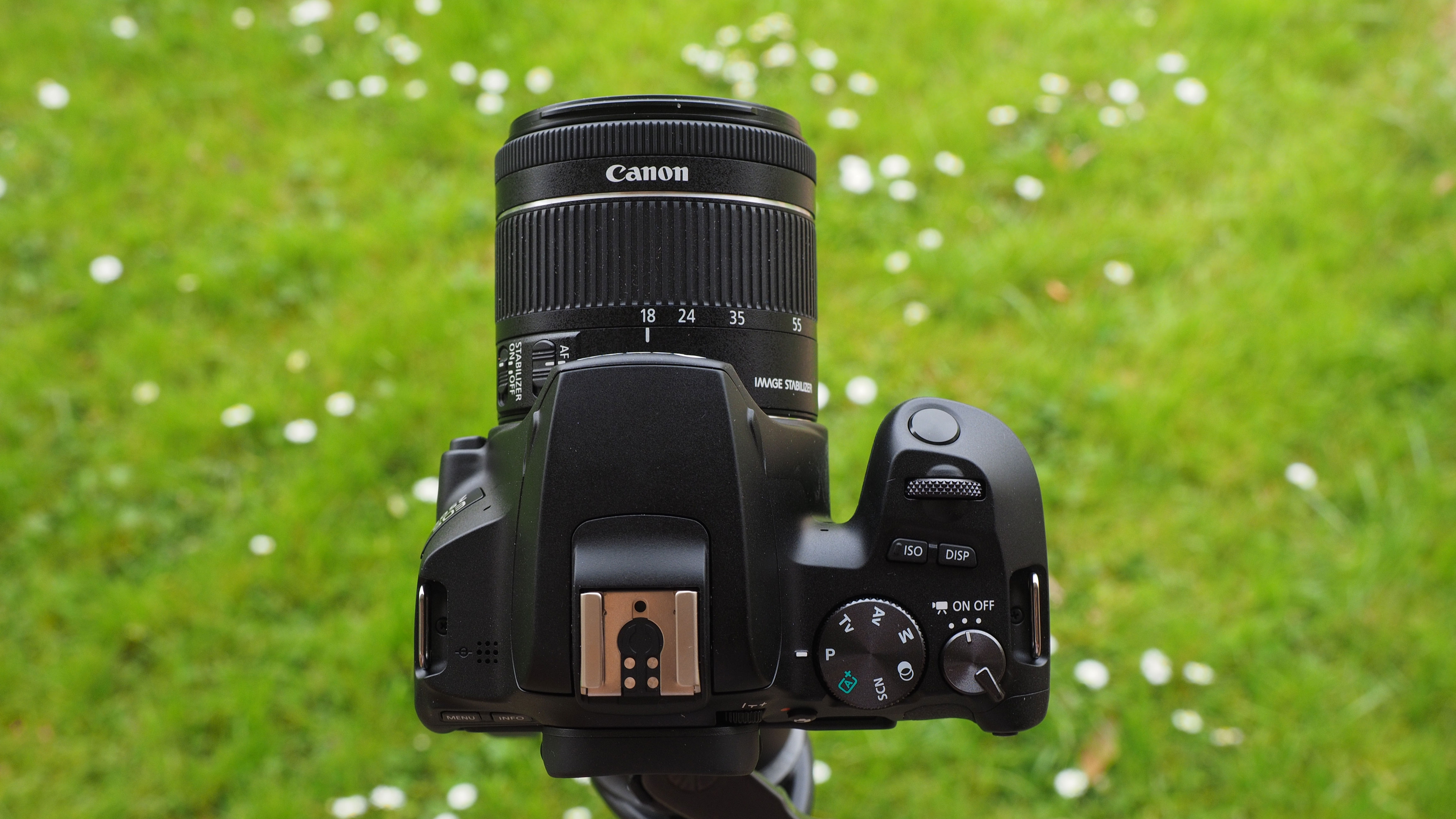 Best Canon camera: Canon EOS Rebel SL3 / EOS 250D