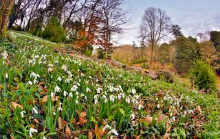 Gardens