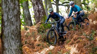 Two men mountain biking in the woods