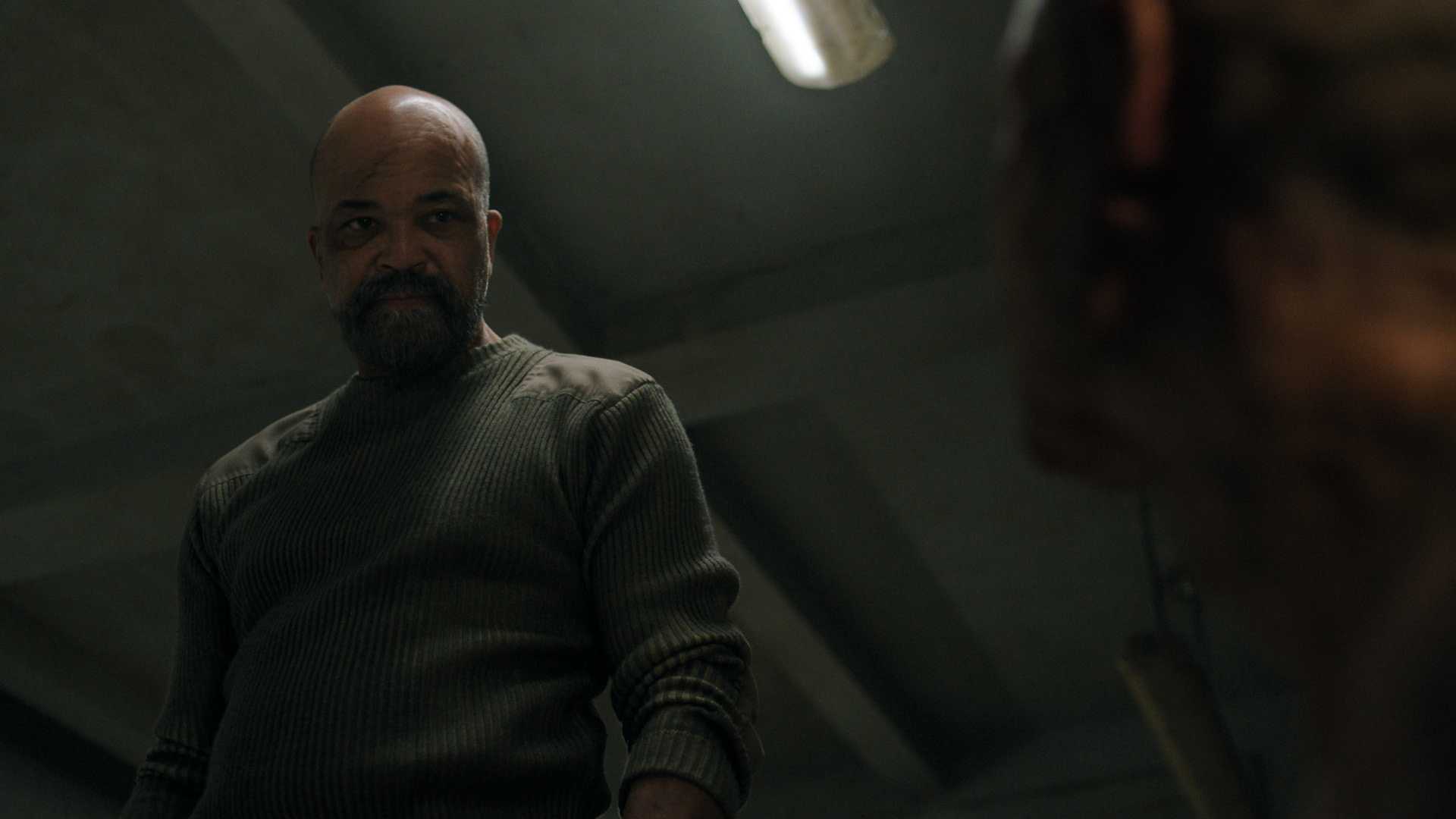 The Last of Us season 2