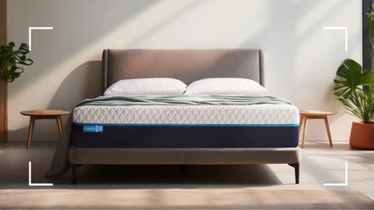 A Simba Mattresses bed in a stylish neutral bedroom between two large indoor plants 