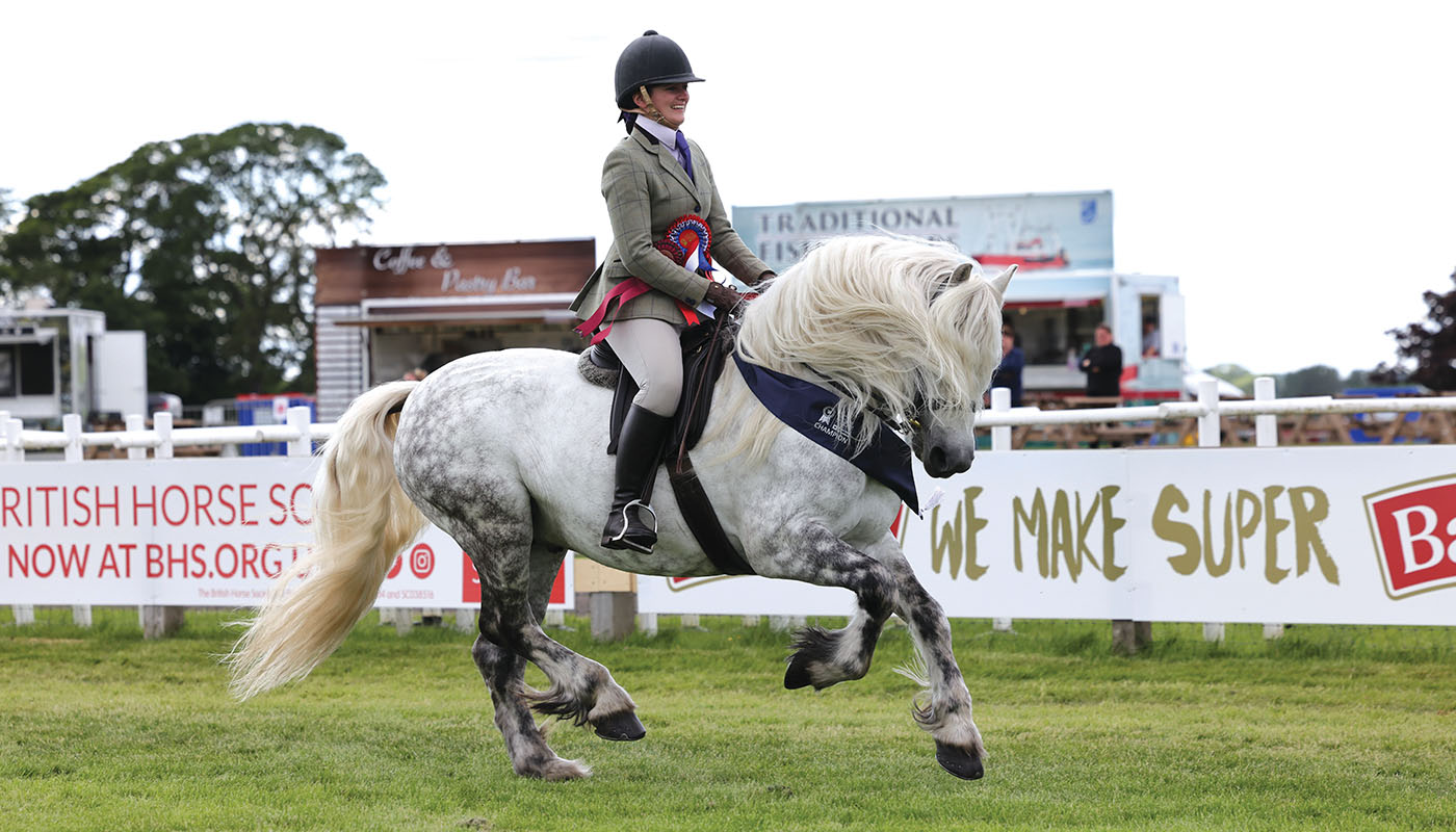 HAH311.sh_royalhighland.trailtrow_tearlach_192_highland_ridden_champion_day_rate.jpg